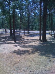 RV sites in lower woods now ready for utilities.