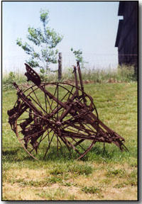 Bluegrass