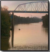Bridges in McLean County.