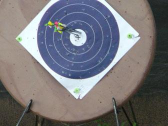Will's Arrows in Target